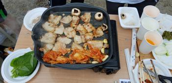 2018�г⵵ 2-3�� ����Ȱ�� ÷���̹���